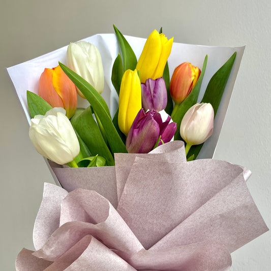 Fiesta de Tulipanes
